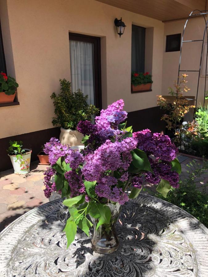 Milla Apartman Сентендре Екстер'єр фото
